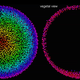 Illustration for article titled New Super Software Tracks Every Cell in an Organism as It Develops